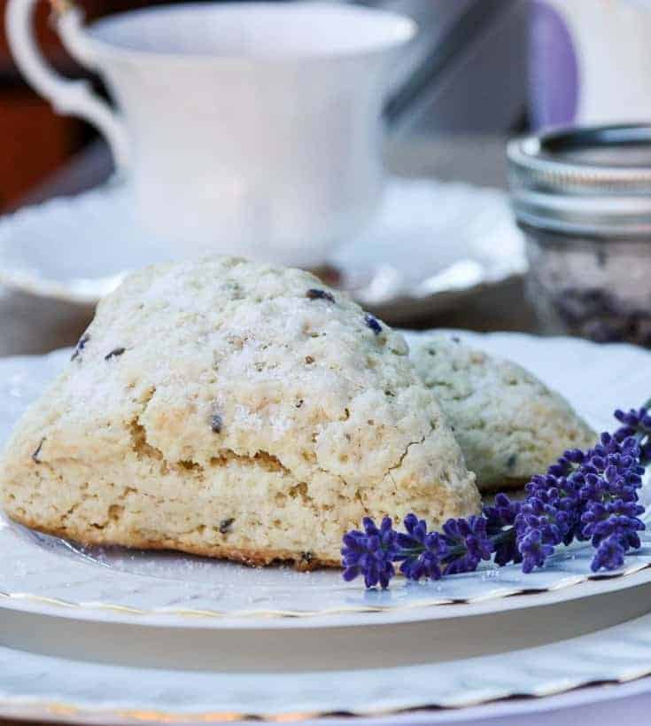 A lavender scone on a white plate with lavender sprigs.